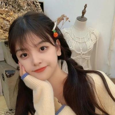 鸡同鸭讲